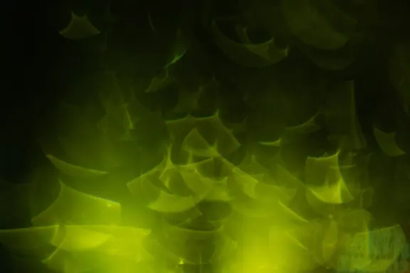 Billion Casino Kundeservice